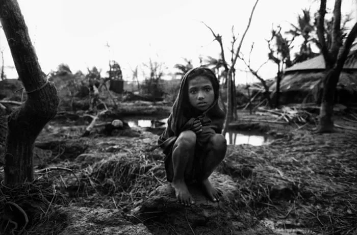 国产 - 消失的部落获奖纪录片海报